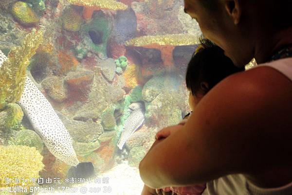 2012 9 30 澎湖水族館 (108)