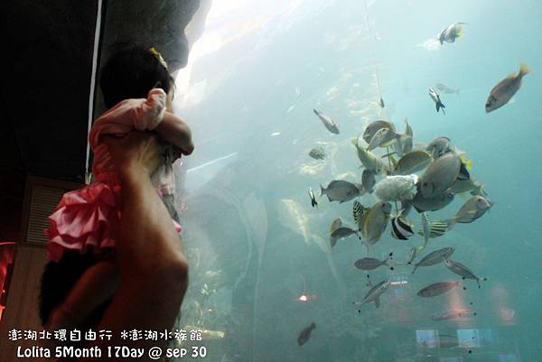 2012 9 30 澎湖水族館 (115)