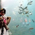 2012 9 30 澎湖水族館 (119)