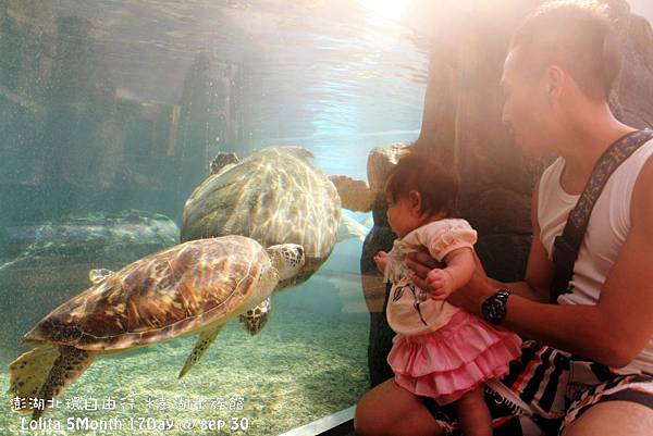 2012 9 30 澎湖水族館 (126)