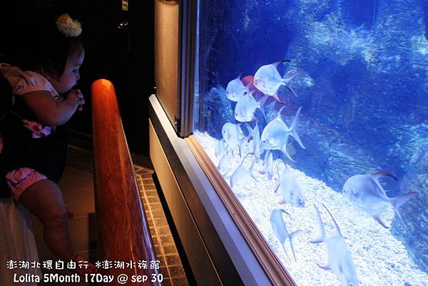 2012 9 30 澎湖水族館 (133)