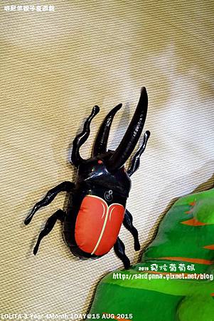 IMG_0412.JPG IMG_0412.JPG
