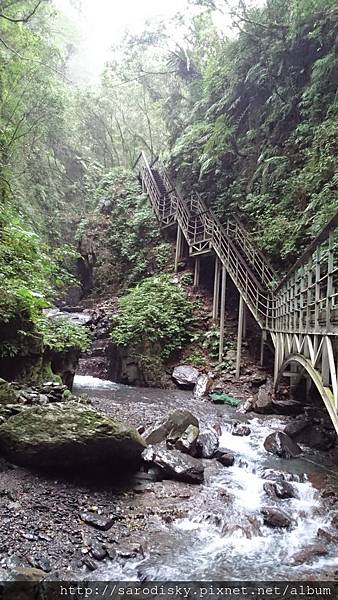 DSC_1653.JPG DSC_1653.JPG