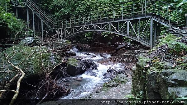 DSC_1646.JPG DSC_1646.JPG