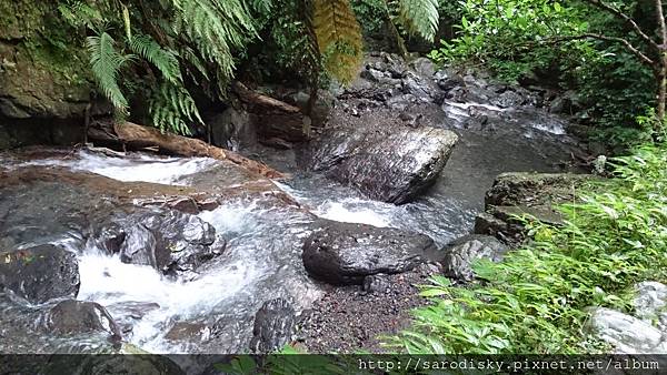 DSC_1635.JPG DSC_1635.JPG