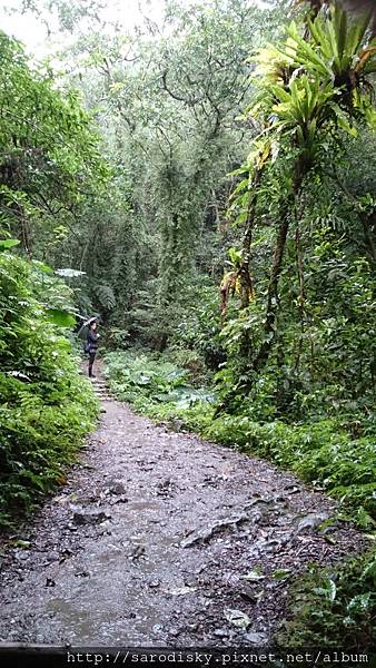 DSC_1638.JPG DSC_1638.JPG