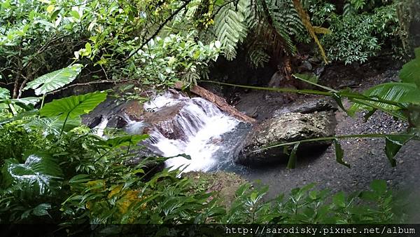 DSC_1630.JPG DSC_1630.JPG