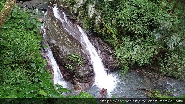 DSC_1621.JPG DSC_1621.JPG