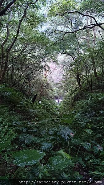 DSC_1615.JPG DSC_1615.JPG