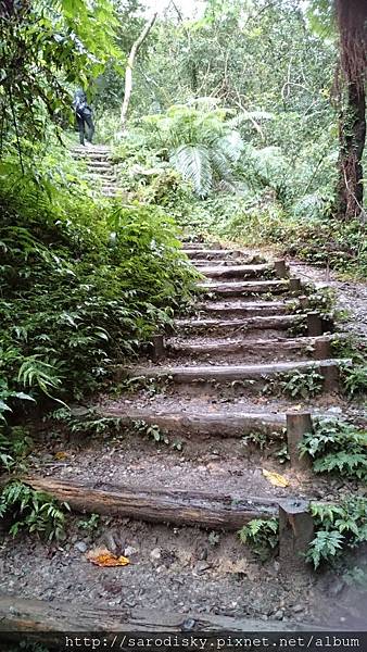 DSC_1627.JPG DSC_1627.JPG