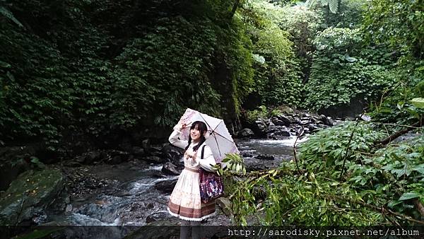 DSC_1655.JPG DSC_1655.JPG