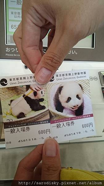 DSC_6035.JPG DSC_6035.JPG