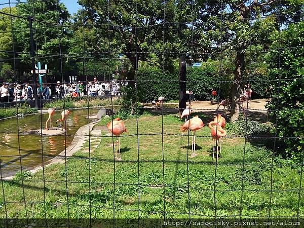 20180505_140731.jpg 20180505_140731.jpg