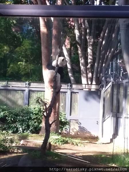 20180505_155821.jpg 20180505_155821.jpg