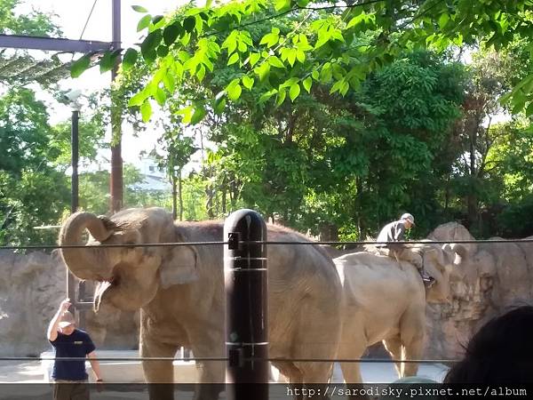 20180505_160720.jpg 20180505_160720.jpg