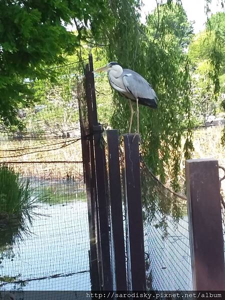 20180505_131016.jpg 20180505_131016.jpg