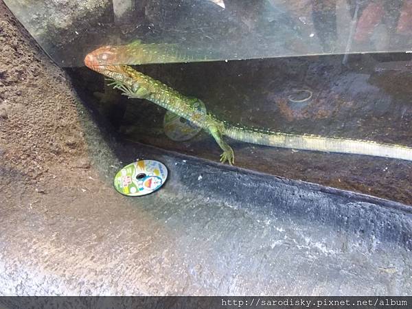 20180505_133321.jpg 20180505_133321.jpg