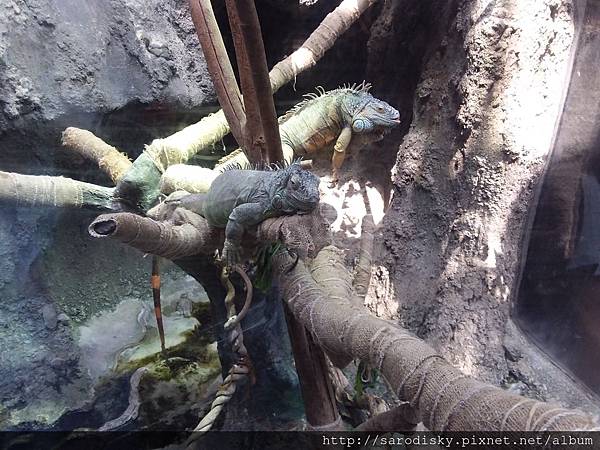 20180505_134706.jpg 20180505_134706.jpg