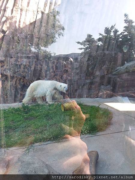 20180505_161314.jpg 20180505_161314.jpg