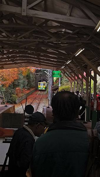 DSC_0282_副本.jpg DSC_0282_副本.jpg