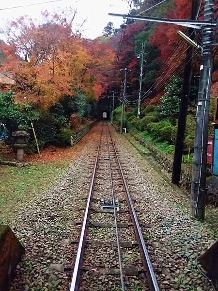 20181129_112125_副本.jpg 20181129_112125_副本.jpg