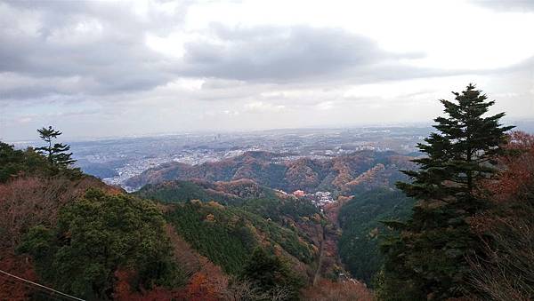 DSC_0317_副本.jpg DSC_0317_副本.jpg