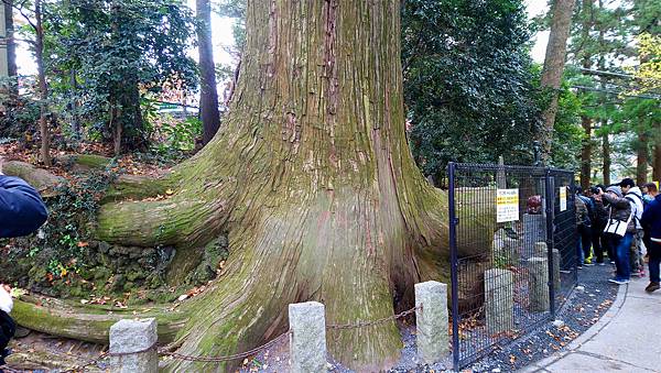 DSC_0320_副本.jpg DSC_0320_副本.jpg