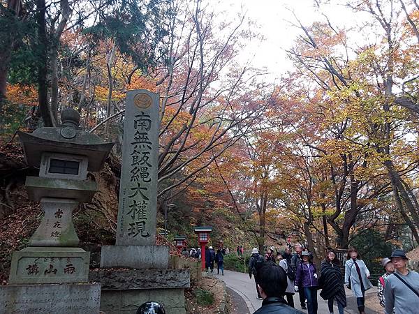 20181129_121620_副本.jpg 20181129_121620_副本.jpg