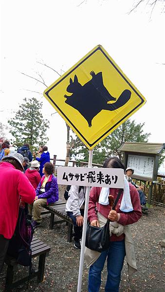 DSC_0325_副本.jpg DSC_0325_副本.jpg