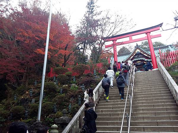 20181129_125846_副本.jpg 20181129_125846_副本.jpg