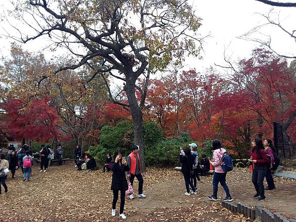 20181129_134549_副本.jpg 20181129_134549_副本.jpg