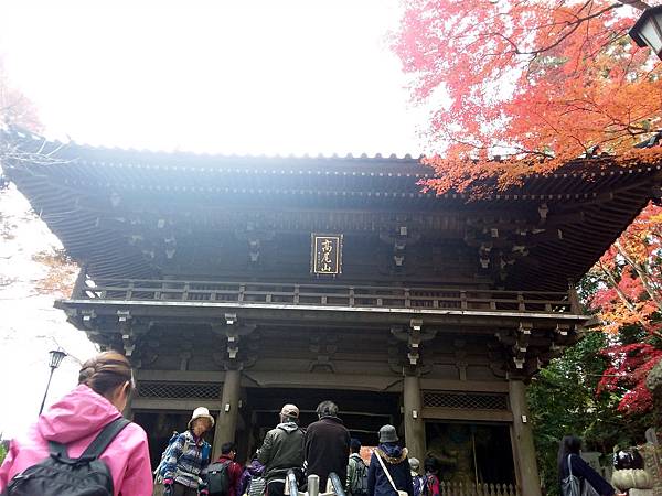 20181129_122846_副本.jpg 20181129_122846_副本.jpg