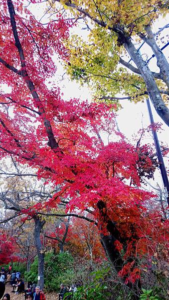 DSC_0344_副本.jpg DSC_0344_副本.jpg