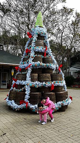 20141220_105030 20141220_105030