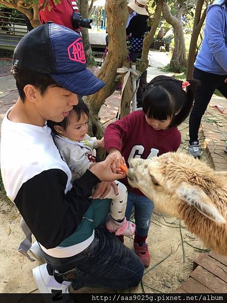 17795832_1573124609394398_4536692258258347937_n 17795832_1573124609394398_4536692258258347937_n