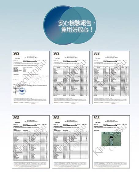 試用