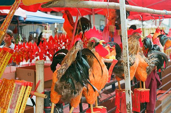 25270003.JPG 25270003.JPG