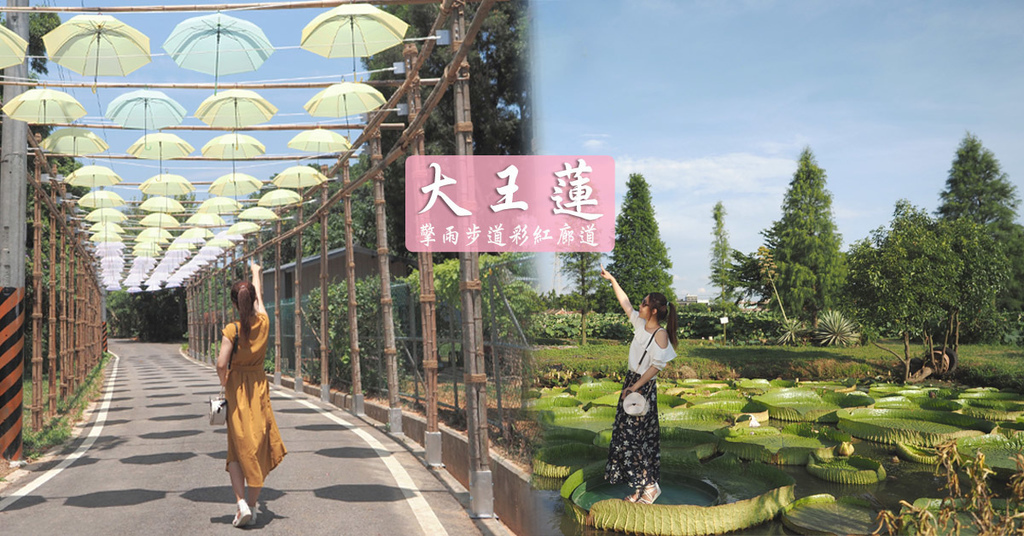 水蓮之鄉大王蓮 夏日限定漂浮之旅 免費入園 台版嚕嚕咪彩虹雨傘廊道 擎雨步道 @ 蔣妮の冰斗人生│食‧旅‧寵‧樂 :: 痞客邦 ::