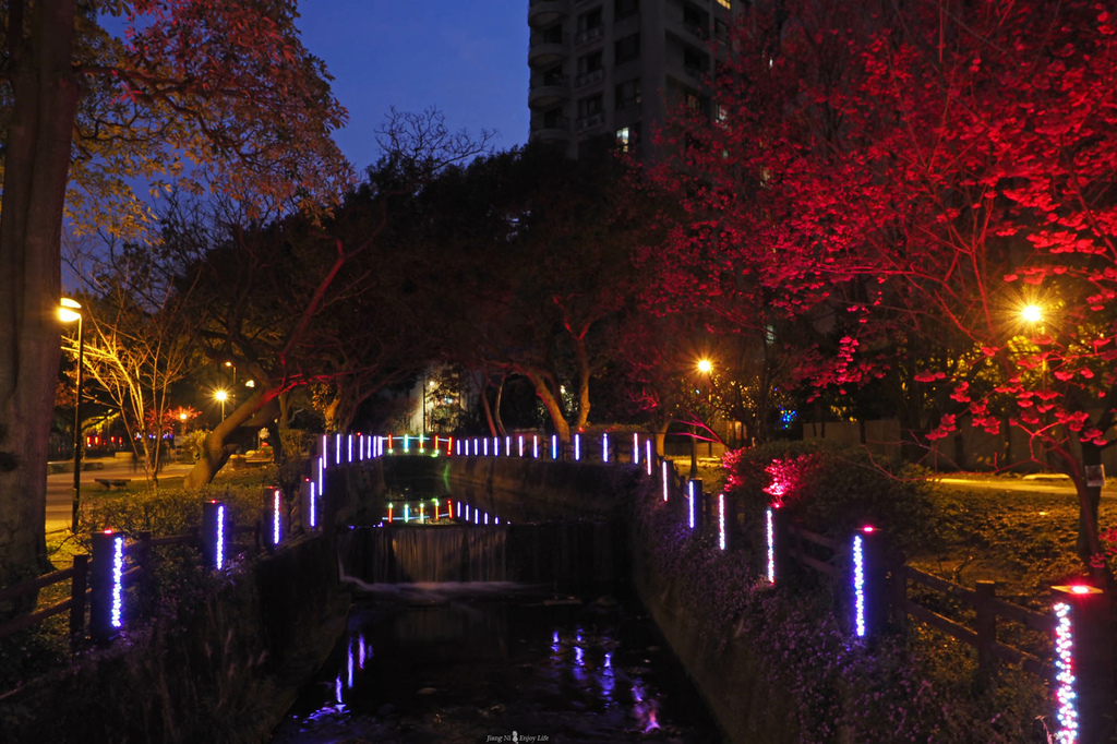 莒光公園中壢夜櫻寵物友善桃園櫻花季夜櫻