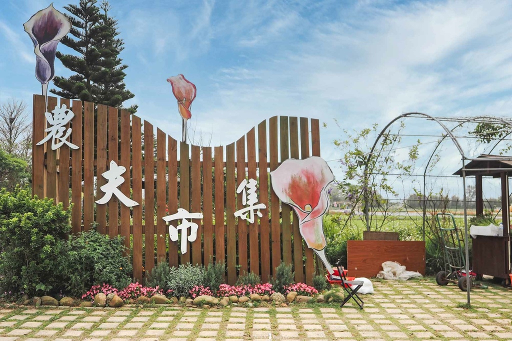 中壢海芋季海洋奇芋季4.jpg 中壢海芋季海洋奇芋季4.jpg