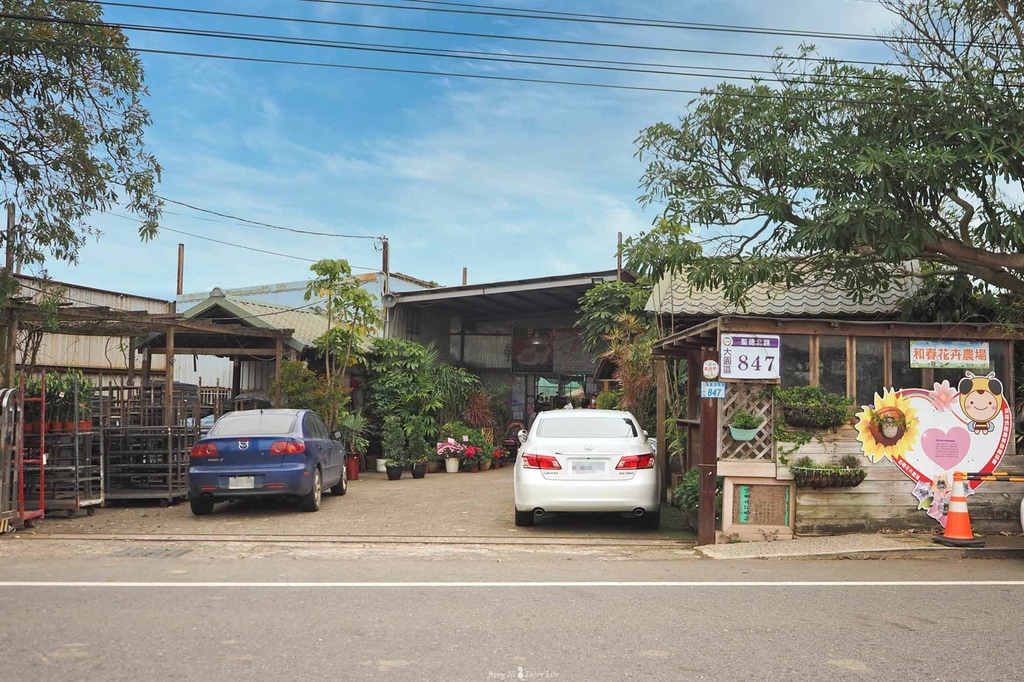 D%26;B綠色茶館青埔美食大園美食桃園海芋季 D%26;B綠色茶館青埔美食大園美食桃園海芋季