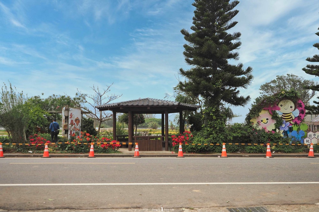 D%26;B綠色茶館青埔美食大園美食桃園海芋季