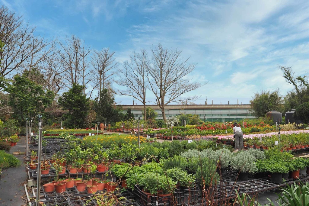 D%26;B綠色茶館青埔美食大園美食和春花卉農場寵物友善 D%26;B綠色茶館青埔美食大園美食和春花卉農場寵物友善