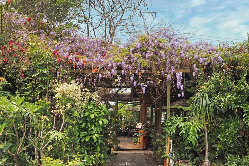 D%26;B綠色茶館青埔美食大園美食和春花卉農場寵物友善 D%26;B綠色茶館青埔美食大園美食和春花卉農場寵物友善