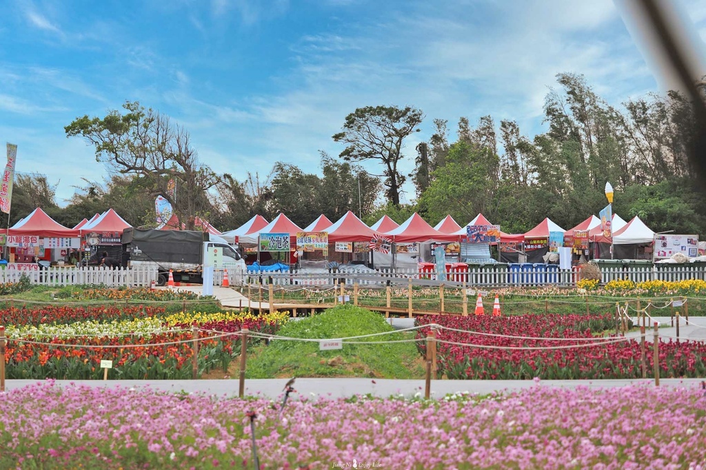 桃園海芋季中壢海洋奇芋季大園景點 桃園海芋季中壢海洋奇芋季大園景點
