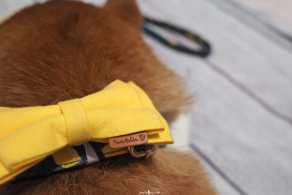 美好毛日寵物牽繩pawsholic爪迷狗狗領結項圈11.jpg 美好毛日寵物牽繩pawsholic爪迷狗狗領結項圈11.jpg