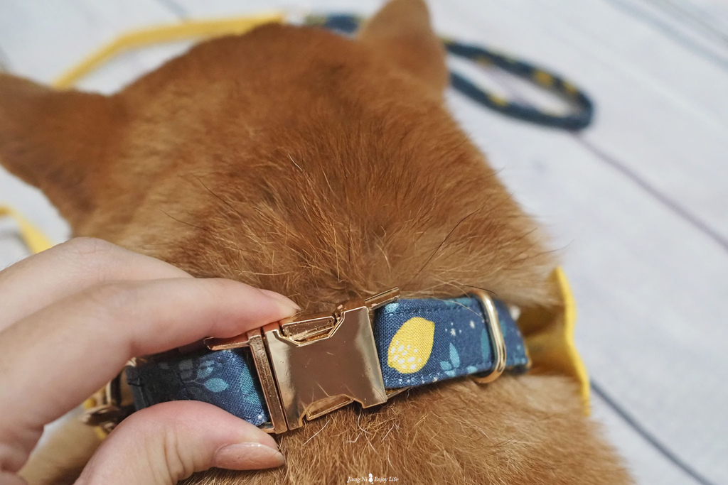 美好毛日寵物牽繩pawsholic爪迷狗狗領結項圈10.jpg 美好毛日寵物牽繩pawsholic爪迷狗狗領結項圈10.jpg