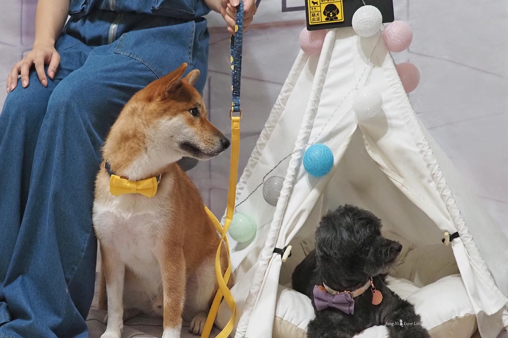 美好毛日寵物牽繩pawsholic爪迷狗狗領結項圈.jpg 美好毛日寵物牽繩pawsholic爪迷狗狗領結項圈.jpg