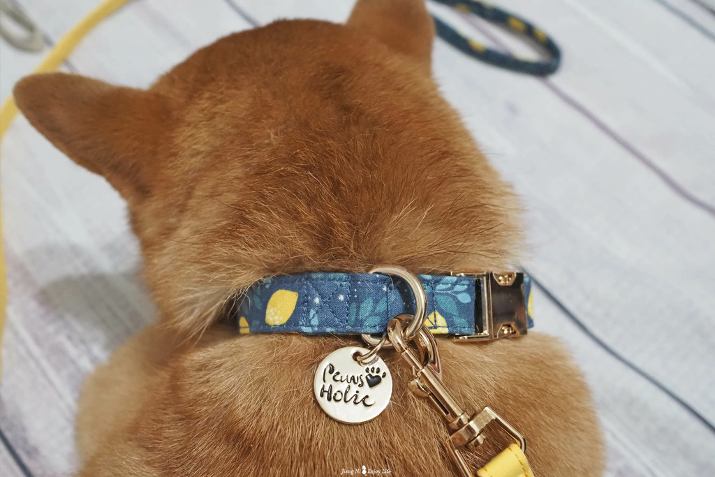 美好毛日寵物牽繩pawsholic爪迷狗狗領結項圈8.jpg 美好毛日寵物牽繩pawsholic爪迷狗狗領結項圈8.jpg