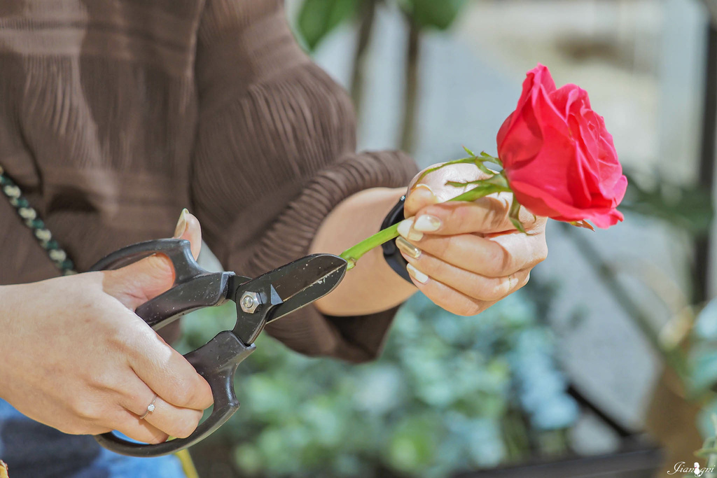 La More Flower Design 拉莫爾花藝青埔美食桃園高鐵橫山書法公園中壢花店16.jpg